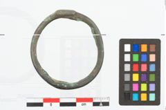 Foto von Bronzering (NHMW-PRAE-026636)